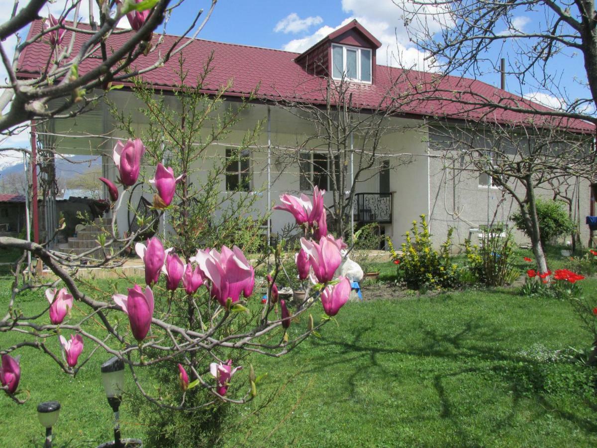 Guest House Melissa Duisi Exterior foto